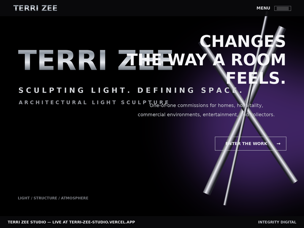 Terri Zee - Light Sculpture